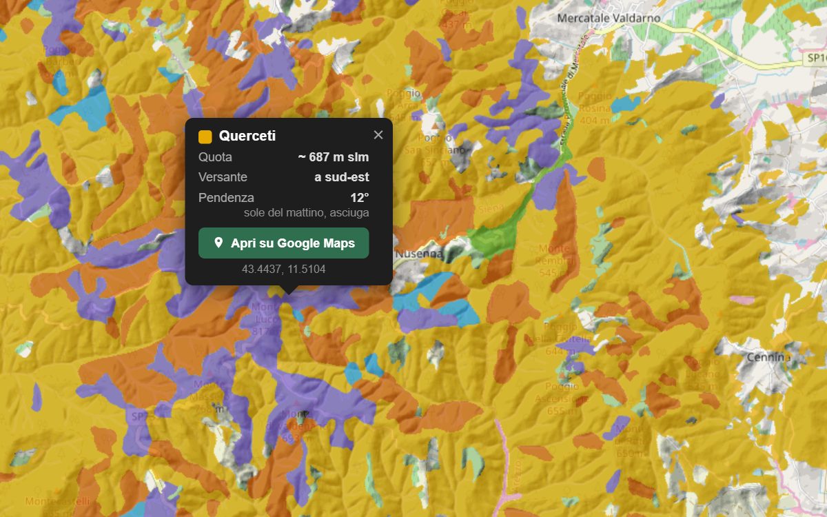 La mappa forestale del Valdarno da vicino, con la nuvoletta di un bosco