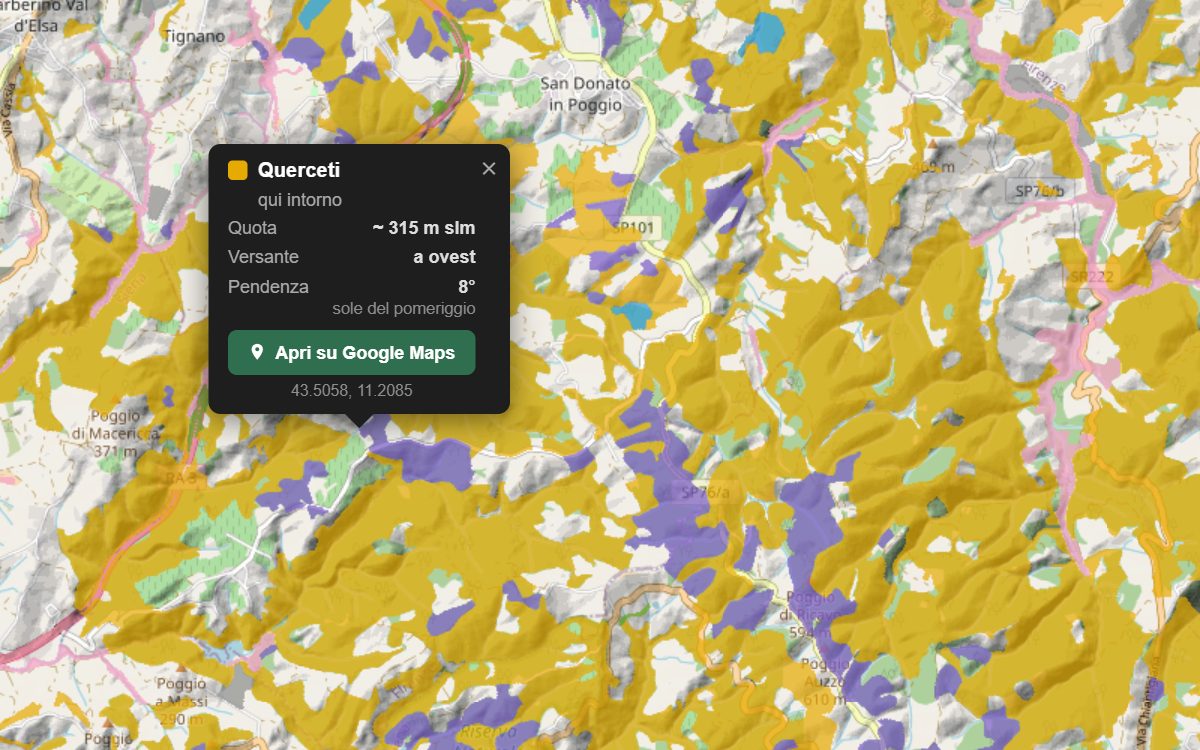 La mappa forestale della Valdelsa da vicino, con la nuvoletta di un bosco