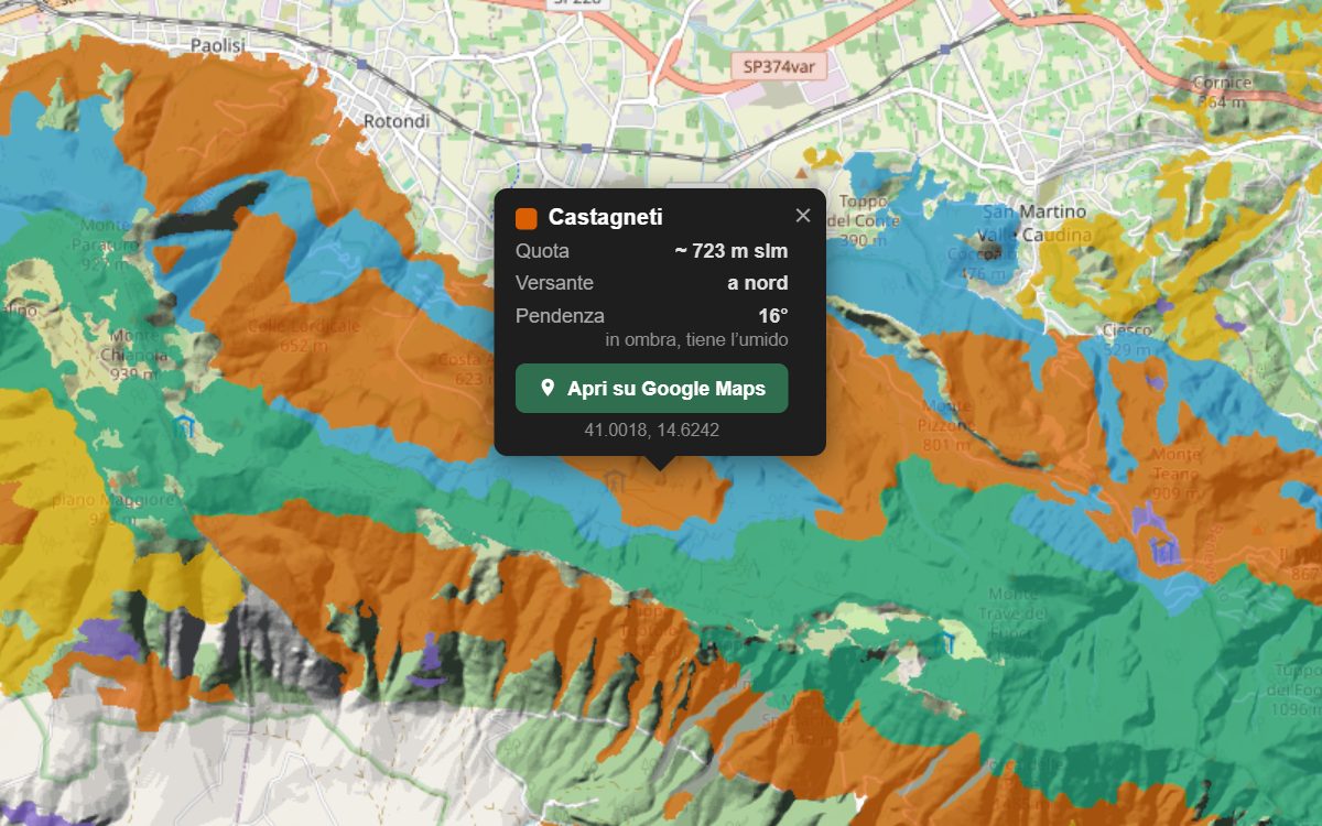 La mappa forestale della Valle Caudina da vicino, con la nuvoletta di un bosco