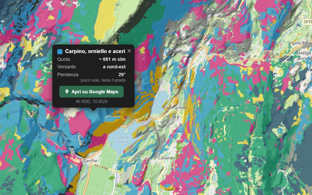 La mappa forestale della Valle dei Laghi da vicino, con la nuvoletta di un bosco