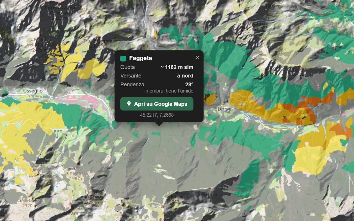 La mappa forestale della Valle di Viù da vicino, con la nuvoletta di un bosco