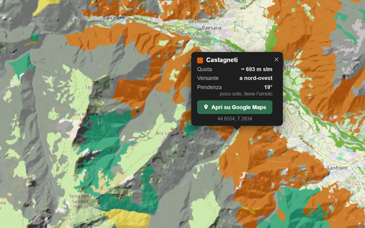 La mappa forestale della Valle Po da vicino, con la nuvoletta di un bosco