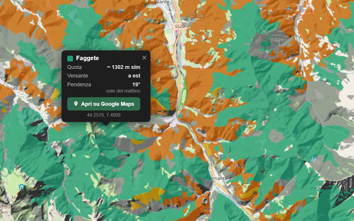 La mappa forestale della Valle Vermenagna da vicino, con la nuvoletta di un bosco
