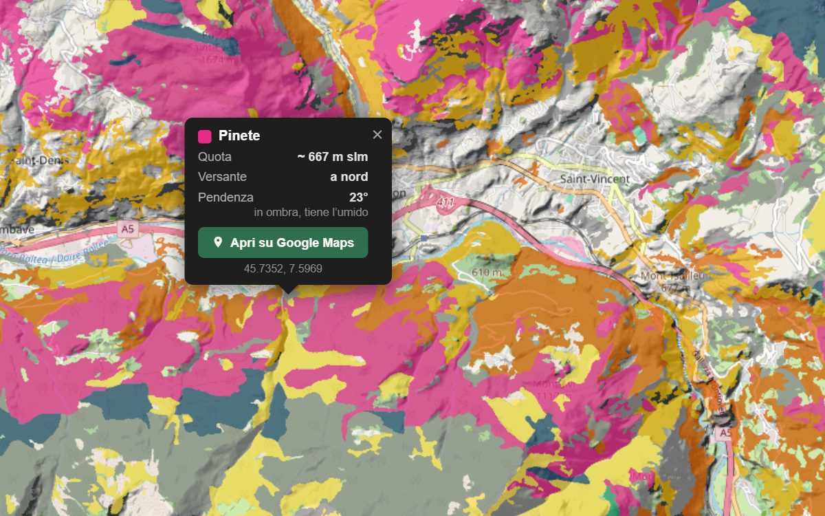 La mappa forestale del Vallone di Champdepraz da vicino, con la nuvoletta di un bosco