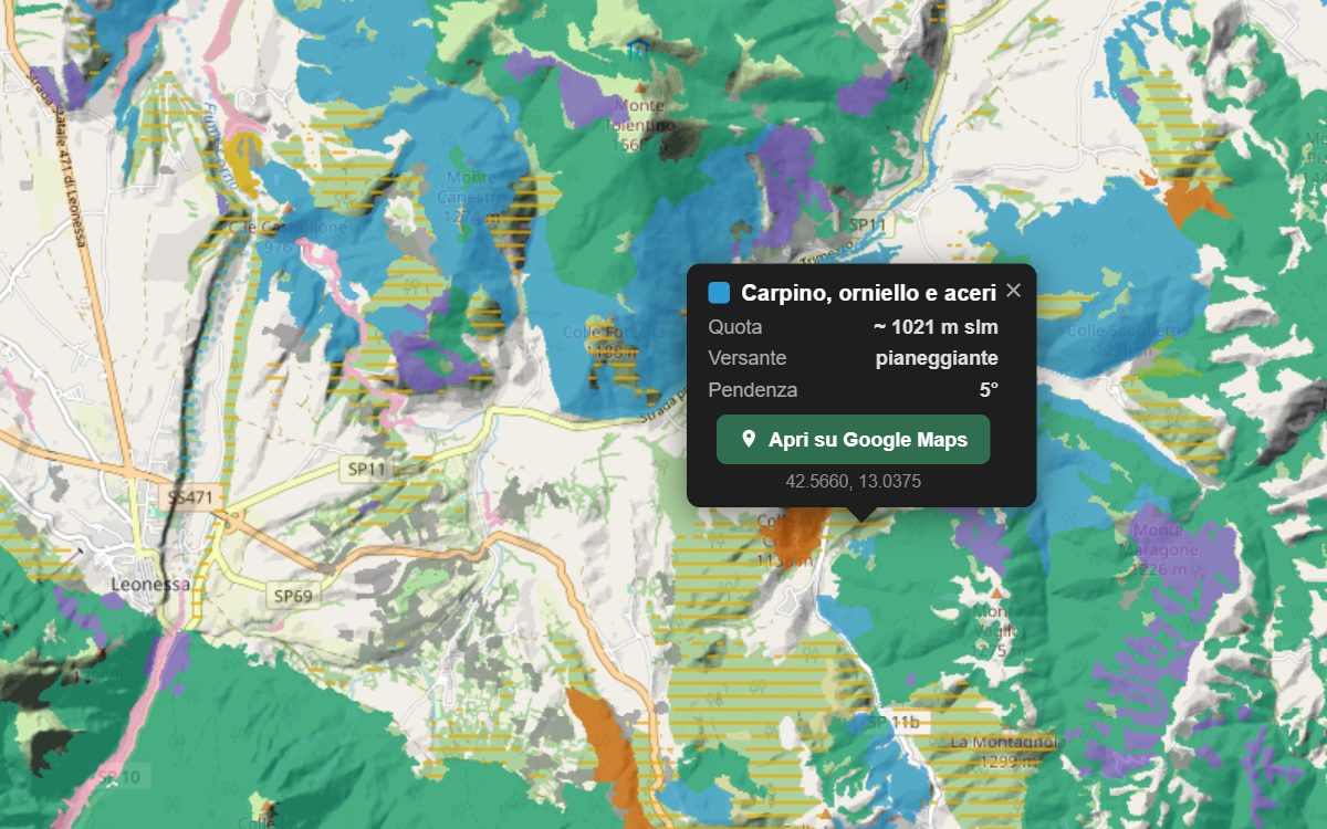 La mappa forestale della Vallonina da vicino, con la nuvoletta di un bosco